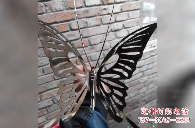 河源不锈钢抽象蝴蝶