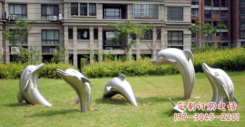 河源海豚的浪漫