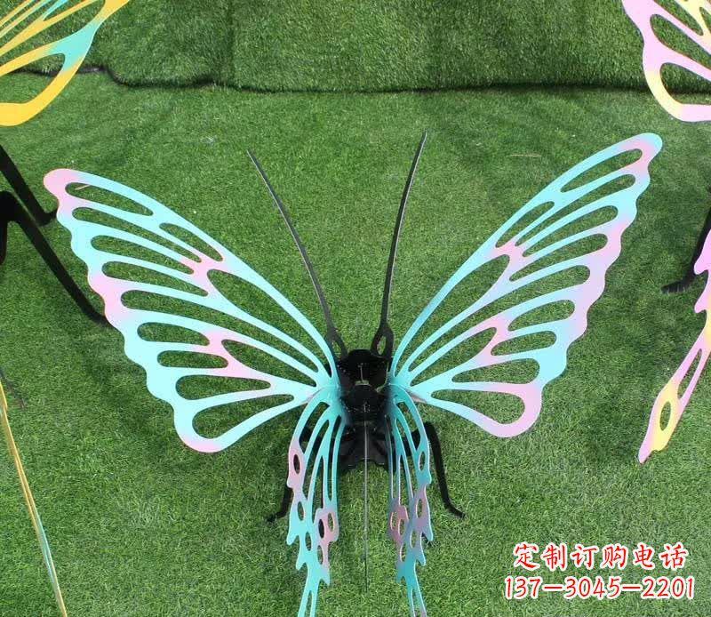 河源彩色不锈钢镂空蝴蝶雕塑精美又充满生机