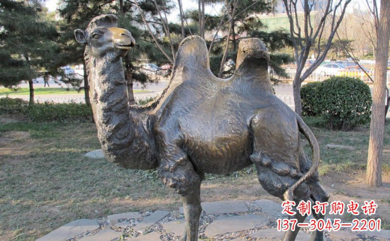 河源铜骆驼雕塑——浓缩自然美丽