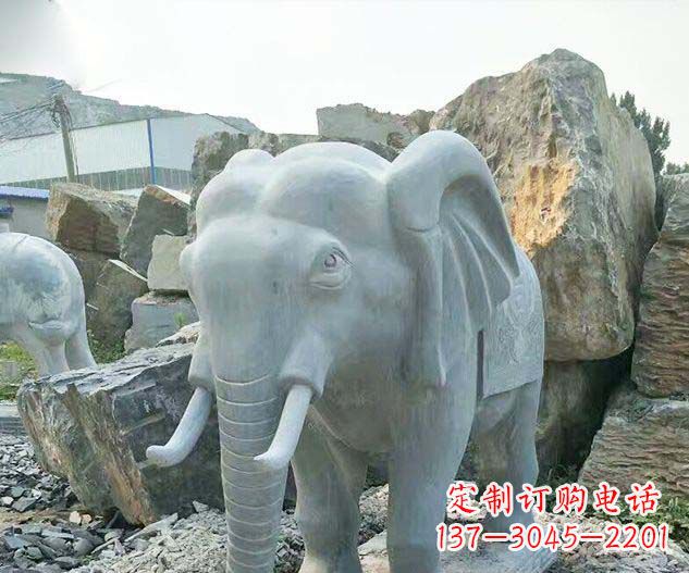 河源广场景观大理石大象石雕 (2)