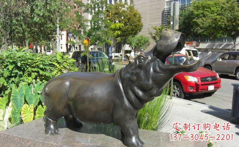 河源精美细腻的街边河马铜雕