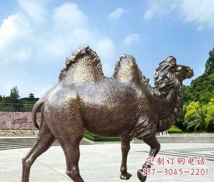 河源欣赏骆驼美感,购买骆驼铜雕