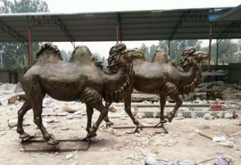 河源欣赏大自然的艺术之作——骆驼铜雕