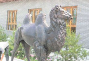 河源精美的骆驼铜雕，提升您的公园气质