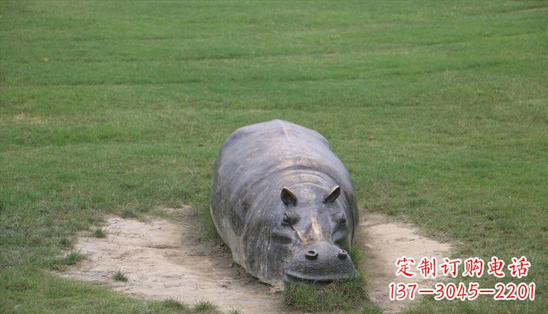 河源铜雕趴着的河马