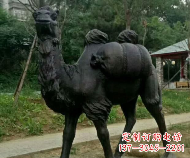 河源驮行李的骆驼铜雕