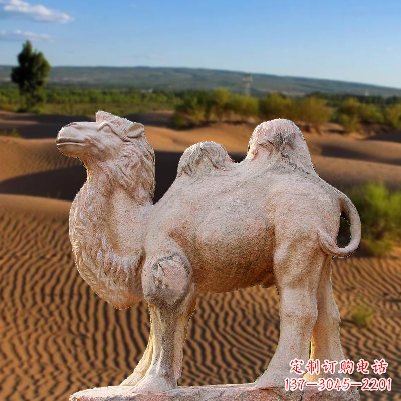 河源晚霞红大理石骆驼