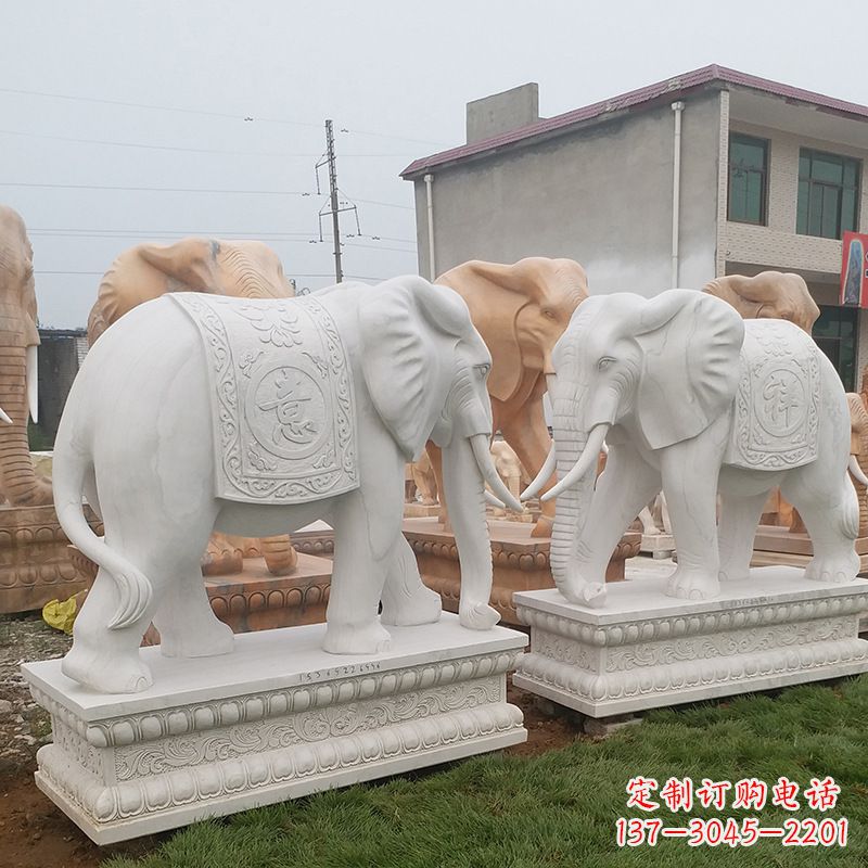 河源学校石雕大象